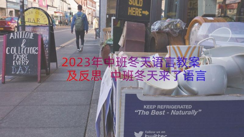 2023年中班冬天语言教案及反思 中班冬天来了语言教案(大全8篇)