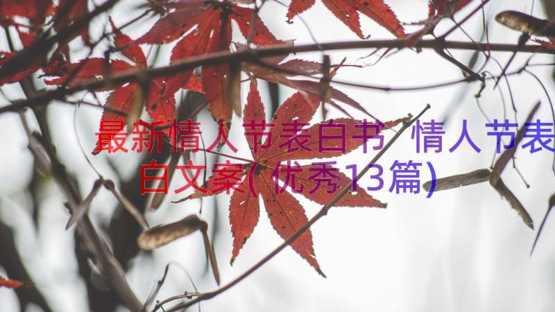 最新情人节表白书 情人节表白文案(优秀13篇)