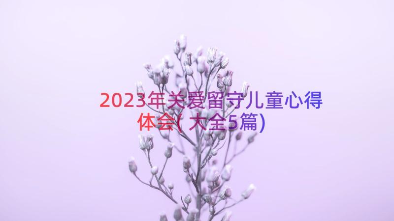 2023年关爱留守儿童心得体会(大全5篇)