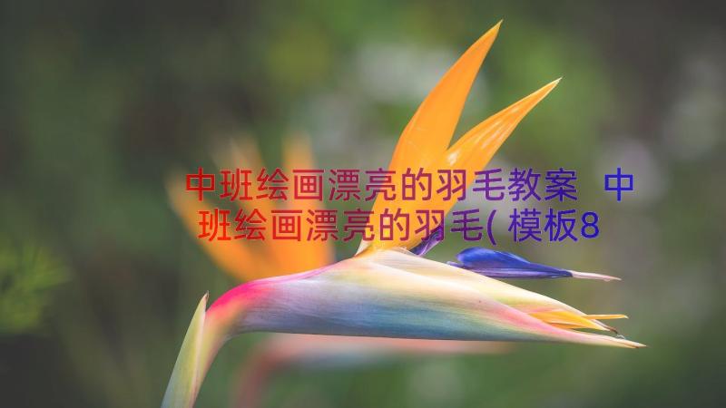 中班绘画漂亮的羽毛教案 中班绘画漂亮的羽毛(模板8篇)