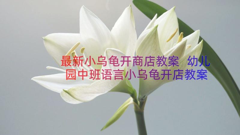 最新小乌龟开商店教案 幼儿园中班语言小乌龟开店教案及反思(实用13篇)