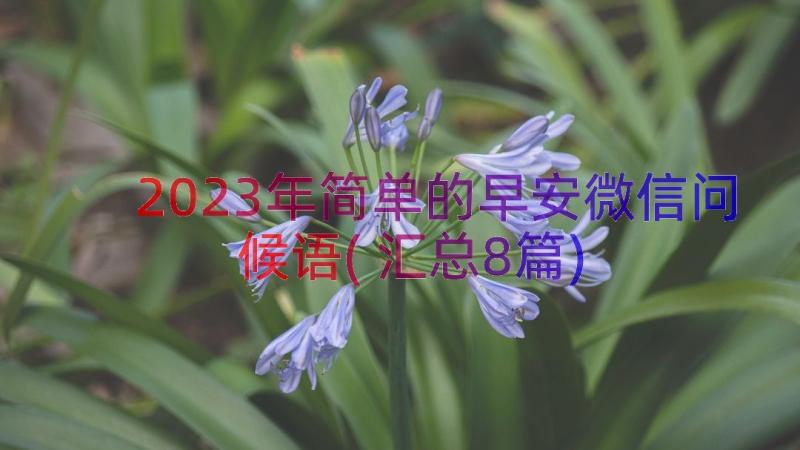 2023年简单的早安微信问候语(汇总8篇)