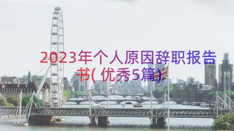 2023年个人原因辞职报告书(优秀5篇)