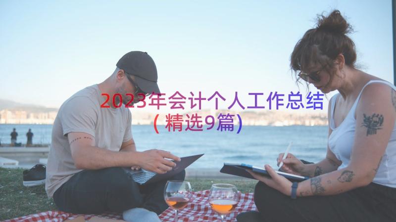 2023年会计个人工作总结(精选9篇)