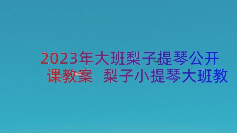 2023年大班梨子提琴公开课教案 梨子小提琴大班教案(精选9篇)