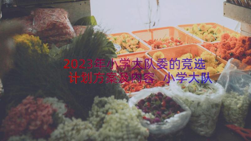 2023年小学大队委的竞选计划方案及内容 小学大队委竞选方案(通用8篇)