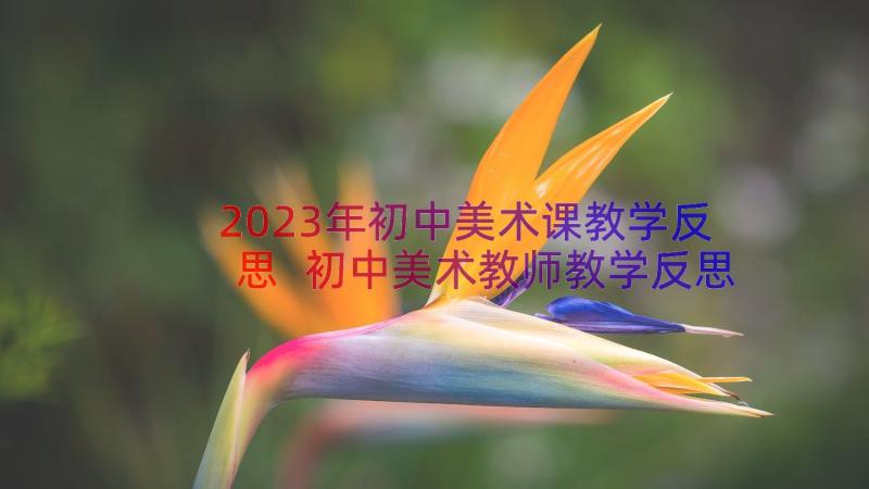 2023年初中美术课教学反思 初中美术教师教学反思(精选8篇)