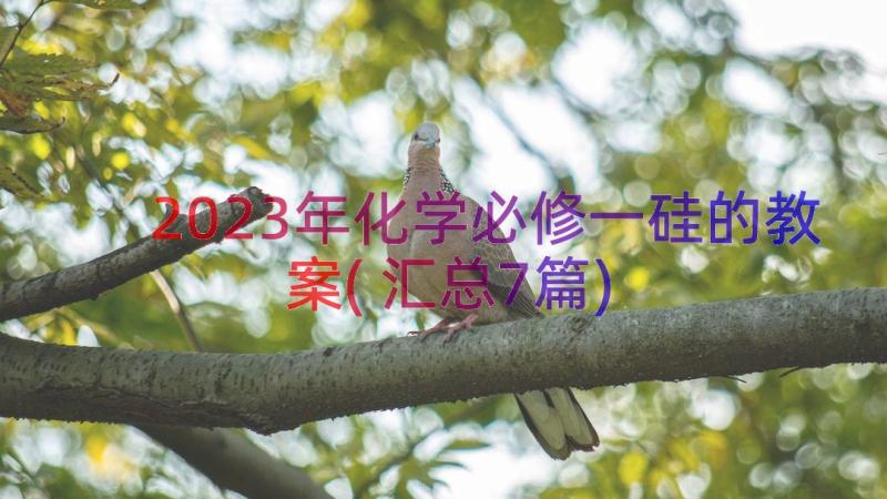 2023年化学必修一硅的教案(汇总7篇)