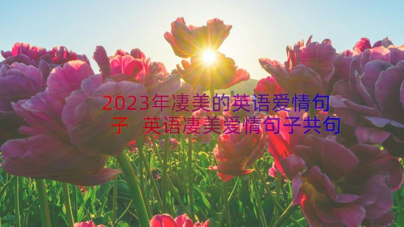 2023年凄美的英语爱情句子 英语凄美爱情句子共句(实用8篇)