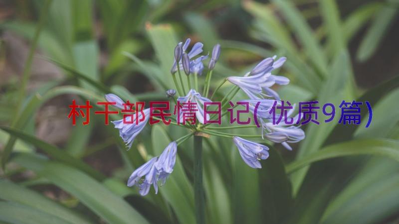 村干部民情日记(优质9篇)