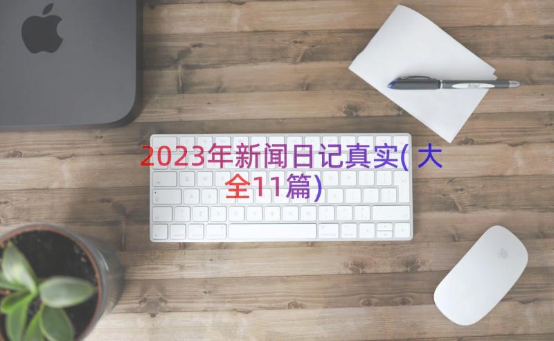 2023年新闻日记真实(大全11篇)