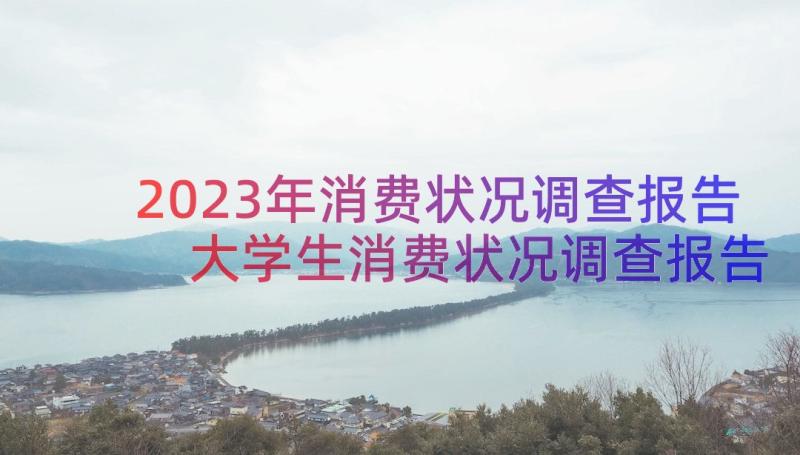 2023年消费状况调查报告 大学生消费状况调查报告(实用13篇)