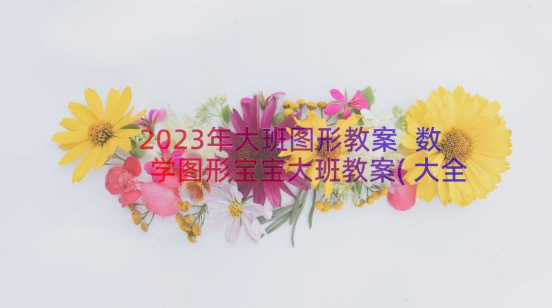 2023年大班图形教案 数学图形宝宝大班教案(大全9篇)