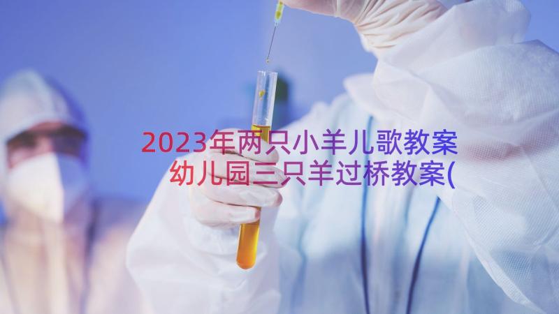 2023年两只小羊儿歌教案 幼儿园三只羊过桥教案(优质8篇)