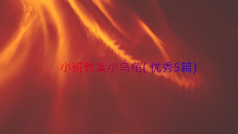 小班教案小乌龟(优秀5篇)