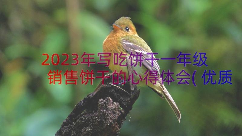 2023年写吃饼干一年级 销售饼干的心得体会(优质13篇)