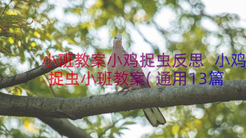 小班教案小鸡捉虫反思 小鸡捉虫小班教案(通用13篇)