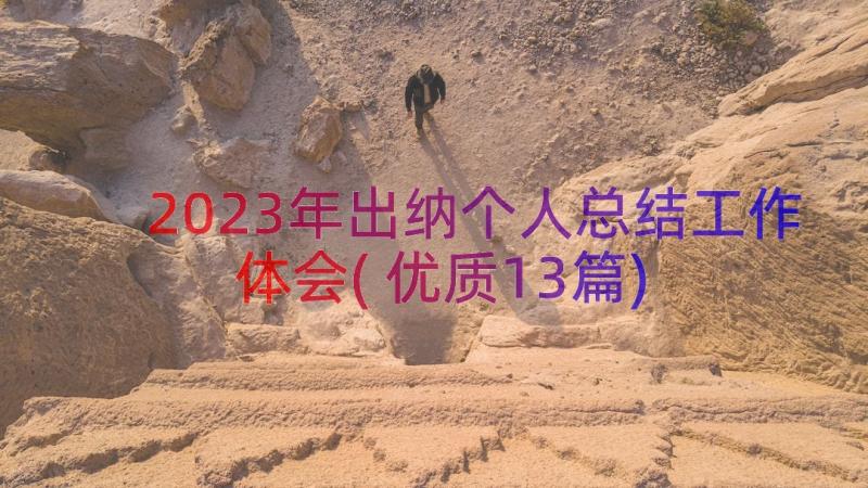 2023年出纳个人总结工作体会(优质13篇)