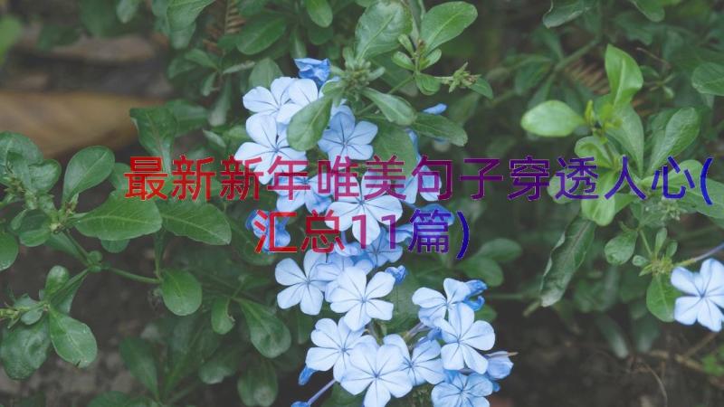 最新新年唯美句子穿透人心(汇总11篇)