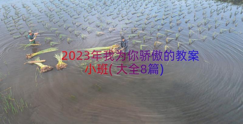 2023年我为你骄傲的教案小班(大全8篇)