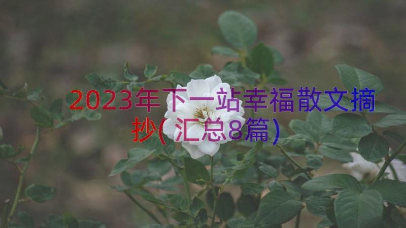 2023年下一站幸福散文摘抄(汇总8篇)