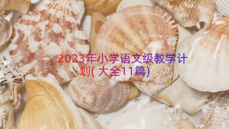 2023年小学语文级教学计划(大全11篇)