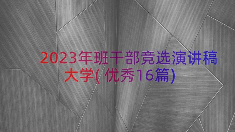 2023年班干部竞选演讲稿大学(优秀16篇)