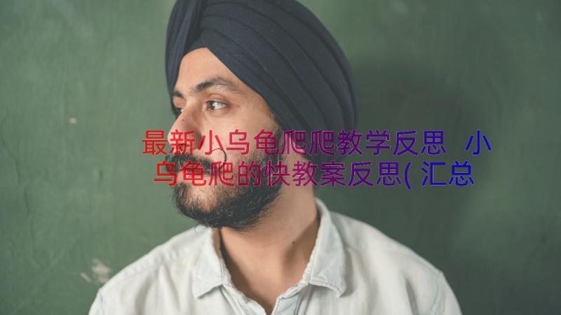 最新小乌龟爬爬教学反思 小乌龟爬的快教案反思(汇总8篇)