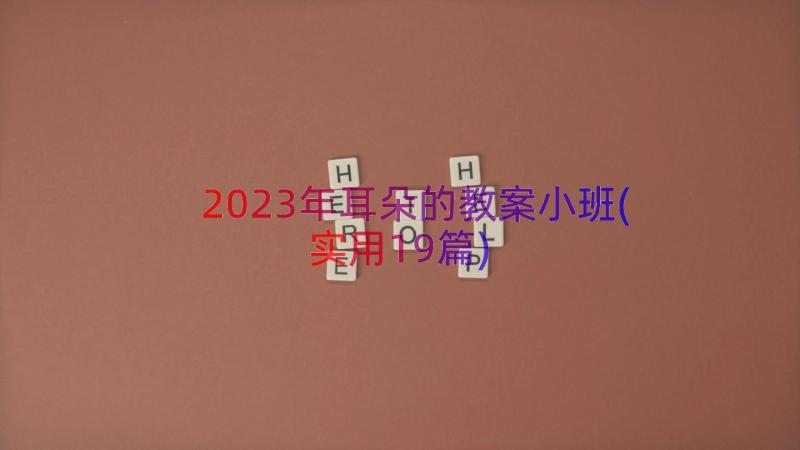 2023年耳朵的教案小班(实用19篇)