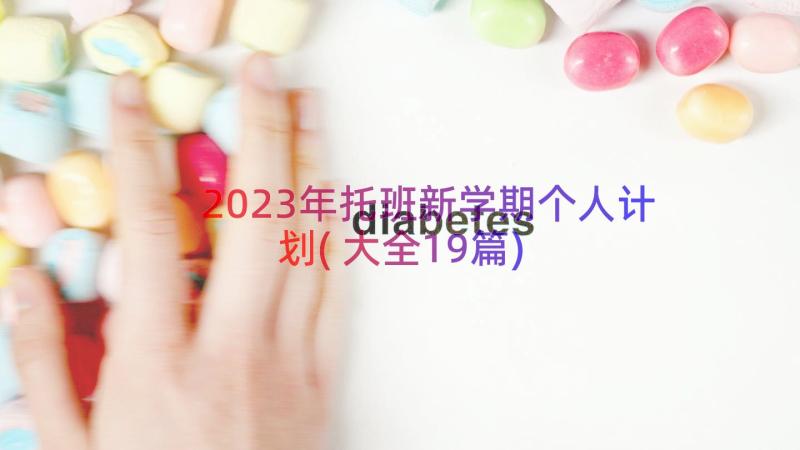 2023年托班新学期个人计划(大全19篇)