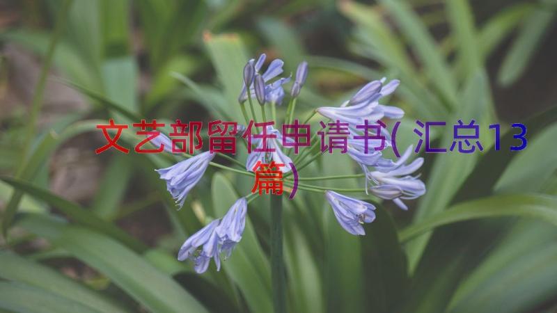 文艺部留任申请书(汇总13篇)