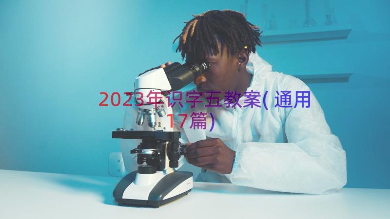 2023年识字五教案(通用17篇)