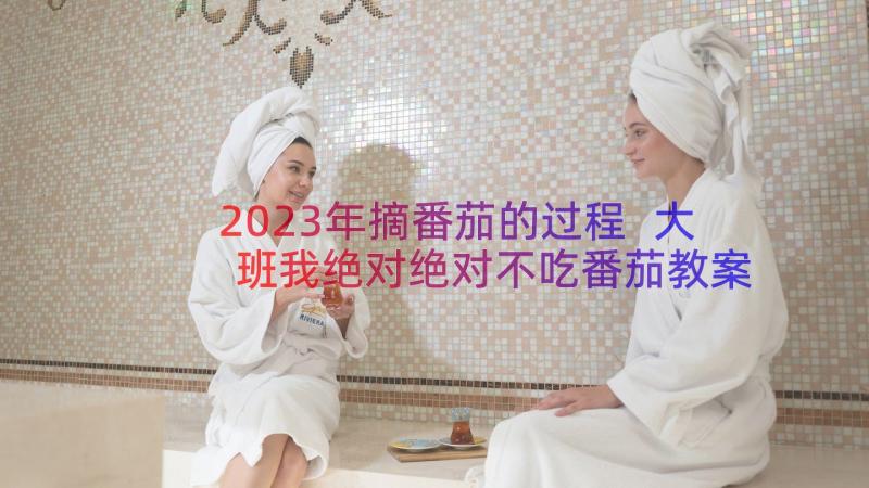 2023年摘番茄的过程 大班我绝对绝对不吃番茄教案(精选5篇)