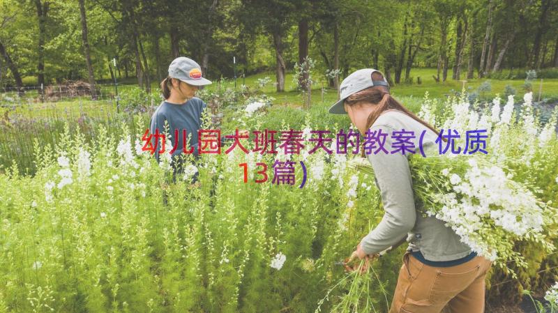 幼儿园大班春天的教案(优质13篇)