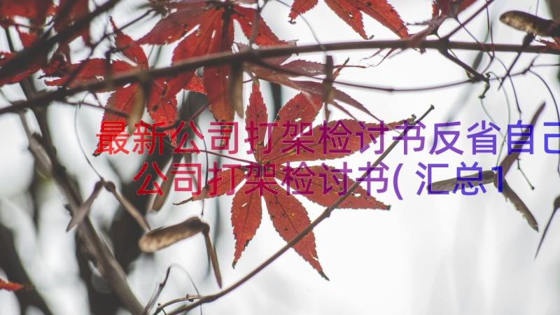 最新公司打架检讨书反省自己 公司打架检讨书(汇总16篇)