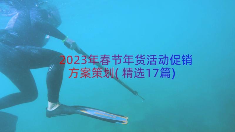 2023年春节年货活动促销方案策划(精选17篇)