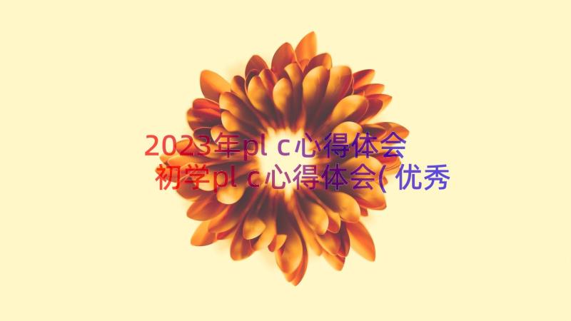 2023年plc心得体会 初学plc心得体会(优秀11篇)