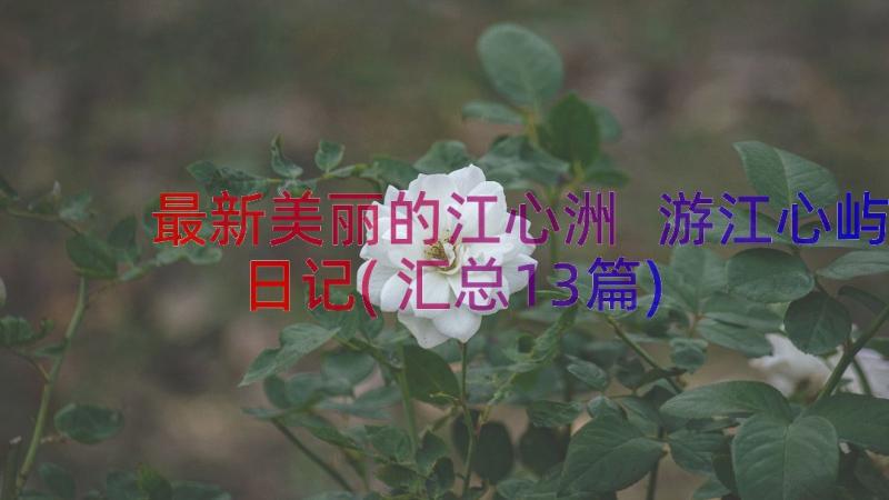 最新美丽的江心洲 游江心屿日记(汇总13篇)