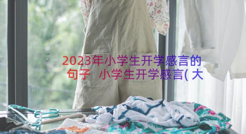 2023年小学生开学感言的句子 小学生开学感言(大全8篇)