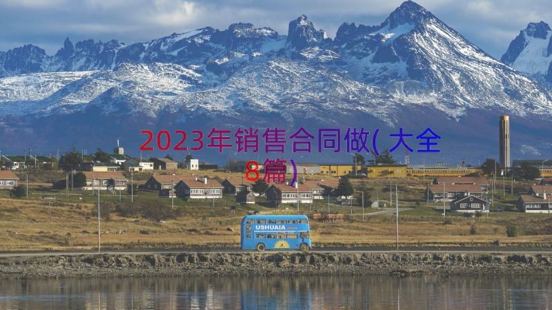 2023年销售合同做(大全8篇)