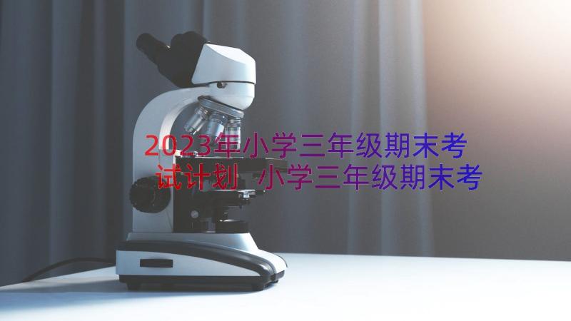 2023年小学三年级期末考试计划 小学三年级期末考复习计划(模板10篇)