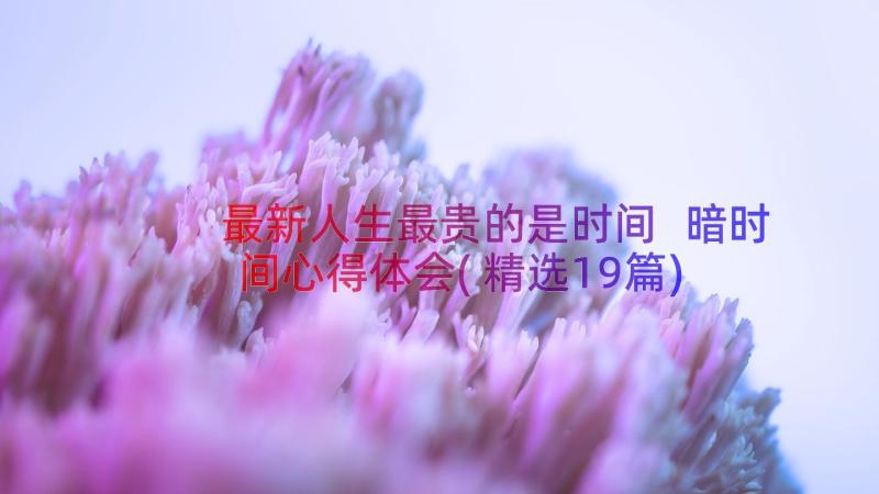 最新人生最贵的是时间 暗时间心得体会(精选19篇)