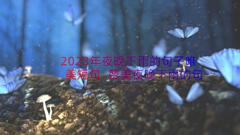 2023年夜晚下雨的句子唯美短句 赞美夜晚下雨的句子句(汇总8篇)