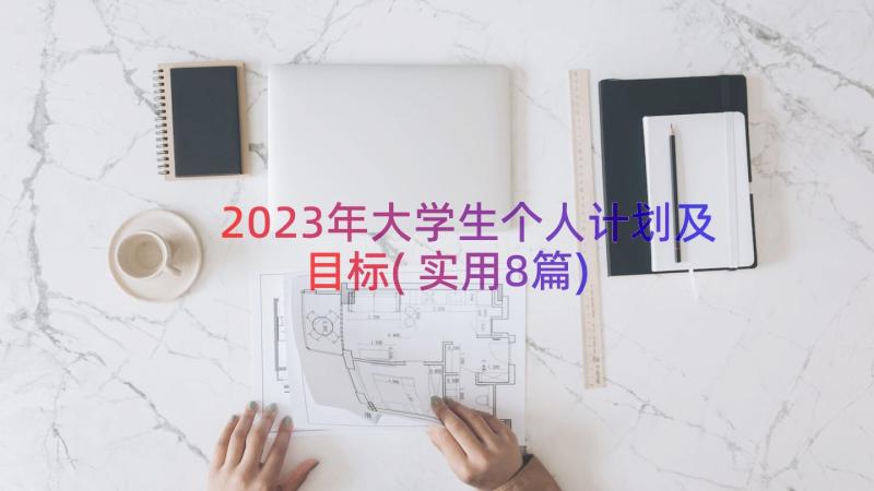 2023年大学生个人计划及目标(实用8篇)