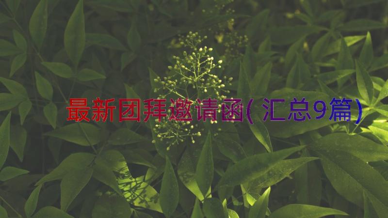 最新团拜邀请函(汇总9篇)