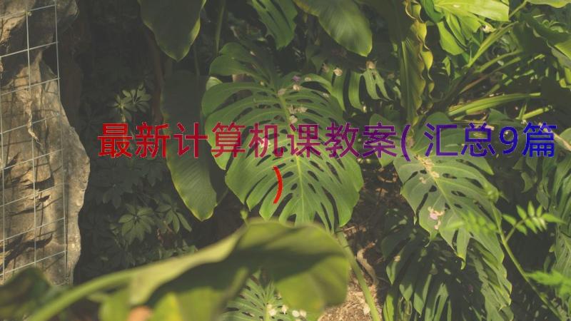 最新计算机课教案(汇总9篇)