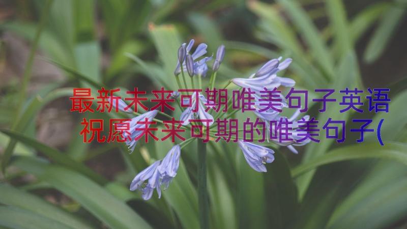 最新未来可期唯美句子英语 祝愿未来可期的唯美句子(通用8篇)