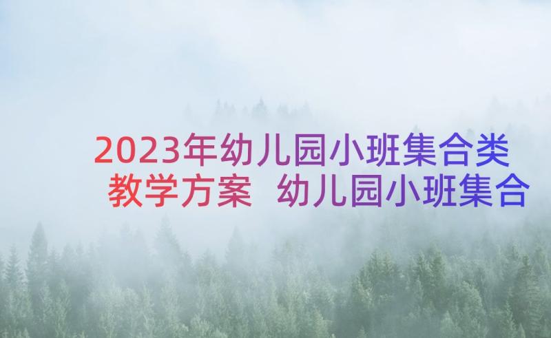 2023年幼儿园小班集合类教学方案 幼儿园小班集合教案(精选14篇)