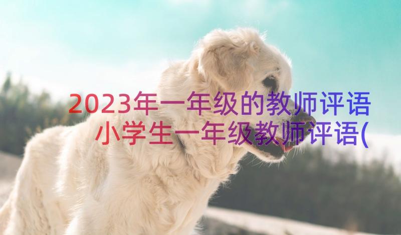 2023年一年级的教师评语 小学生一年级教师评语(优质8篇)