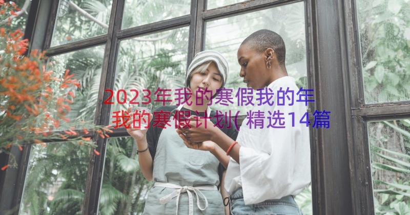 2023年我的寒假我的年 我的寒假计划(精选14篇)